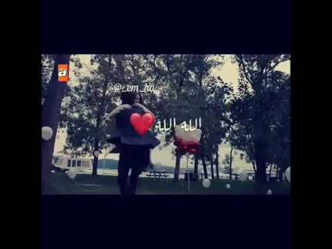 قلبي اتمناه ل عمرو دياب حاله واتس