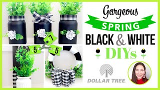 GORGEOUS Black and White Spring Craft Ideas