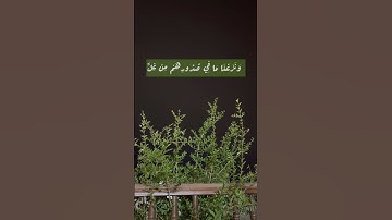 ادْخُلُوهَا بِسَلَامٍ آَمِنِينَ - سورة الحجر - سعود الشريم
