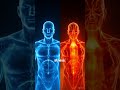 3 Pillars of Biohacking: Master Your Sleep, Metabolism, and Focus