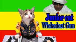Junior cat- wickedest gun