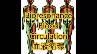 Blood Circulation2. Healing With Sonic Energy. Bioresonance. .