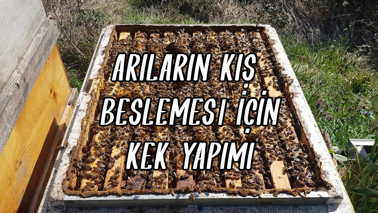 Kışın Arı Beslemesi İçin Kek Yapımı YouTube