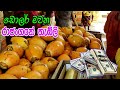         king coconut  thambili karmanthaya