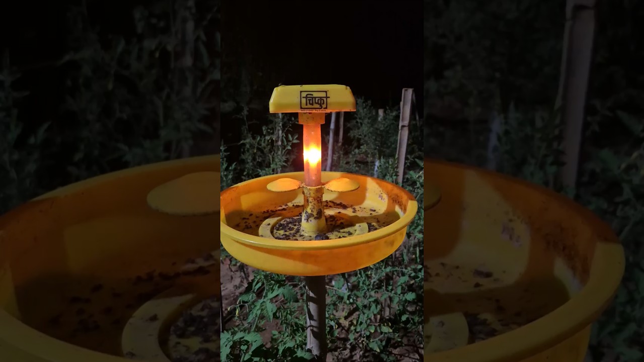 Solar Trap for agriculture use | Farm Equipments | Organic Farming | Farming Tips | 