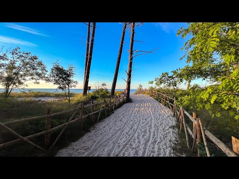 Dębki, Wierzchucino -