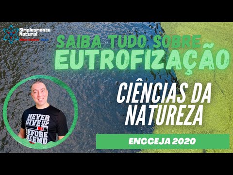 Vídeo: Diferença Entre Eutrofização E Flor De Algas