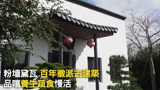 第40集桃園觀音「水來青舍」百年古建築無菜單蔬食料理