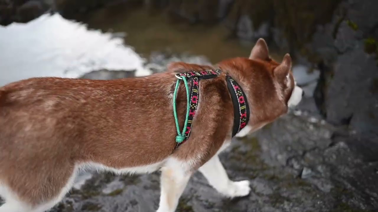 Feb. 12, 2026 Mission Creek