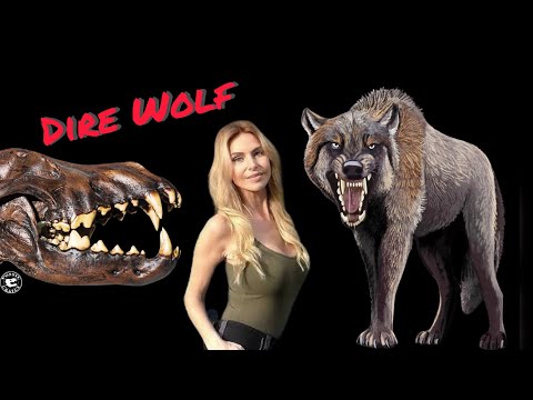 THE DIRE WOLF