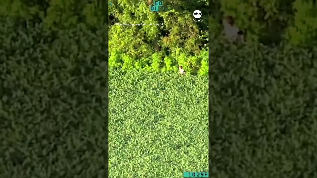Aerial Footage Shows Moment Missing 4 Year Old Is Found In Field