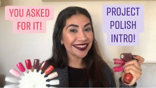 Project Polish 2022 INTRO