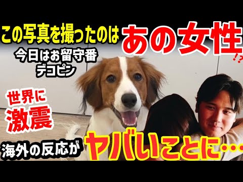 大谷翔平の愛犬デコピン、お留守番の写真を撮ったのはあの女性か！世界中の女性が悲鳴「え、嫌だ…想像したくない！」【海外の反応/ドジャース/二刀流/FA/ホームラン王】