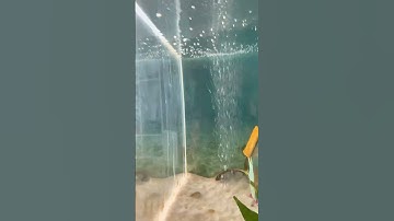 Loop #funny #loop #filter #satisfyingloop #redflags #endlessloop #perfectloop #music #musichumor