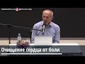 Торсунов О.Г.  Очищение сердца от боли