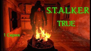 Сталкер - True Stalker , Свежая и Годная Модификация ! Знакомство с игрой и задание Сидора ! 1 ч.