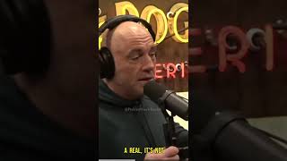 Joe Rogan's MIND-BLOWING Theory on Human Evolution & Alien Encounters!