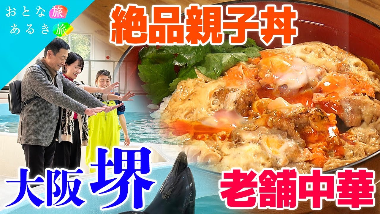 【古と今が溶け合う大阪・堺】新旧名店 美味いもん！　立飲み鮮魚店～本格中華～イルカ触れ合い～古墳～絶品親子丼　#おとな旅あるき旅   #traveljapan     #三田村邦彦   #吉川亜樹