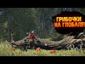 🔥RUST -  ГРИБОЧКИ НА ГЛОБАЛЕ