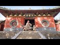 A oneminute crash course in shaolin kung fu