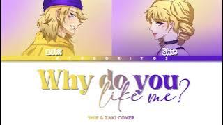 「 Paradox Live 」Why Do You Like Me / NIZE Cover