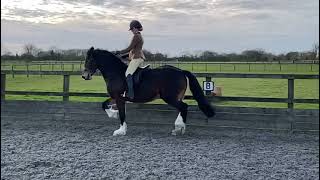 Ad ref 271737 Video 2