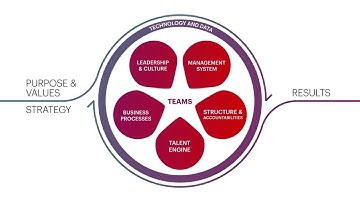 Operating Model