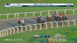 Vidéo de la course PMU PRIX I WANT GLORY 2014 (2EME PELOTON)