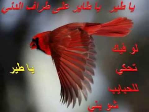 خذني على بلادي