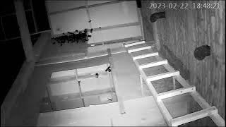 Sp 50 juta mampu menarik koloni walet yang melintas link sp dan si di deskripsi dan  komentar