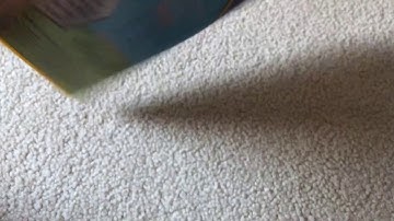 Bob The Builder Project Build It: Build It And They Will Come 2005 DVD