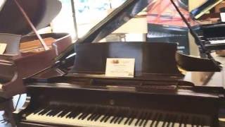 American Music World Pianos, Chicago Piano Store since 1979