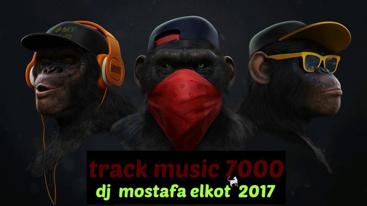 Track music on youtube