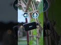 กล้องวงจรปิดไร้สายโซลาร์เซลล์ RECO 4G SOLAR จบครบทุกฟังก์ชัน ไม่ต้องง้อปลั๊ก ไม่ต้องง้อ Wi-Fi!