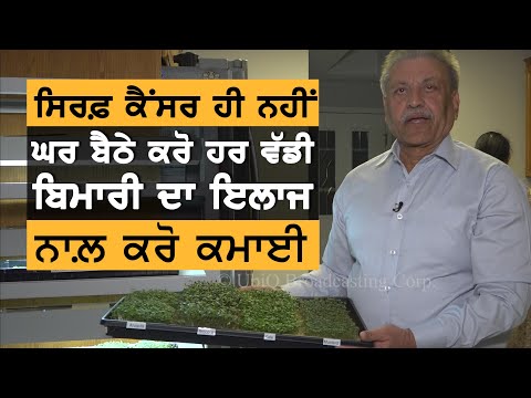 How to Grow Microgreens? Grow Stations || TV Punjab