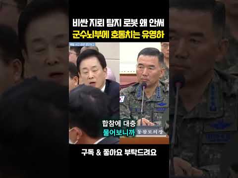 [채널인 정치뉴스]비싼 지뢰 탐지 로봇 왜 안써 군수뇌부에 호통치는 유영하 #유영하 #DMZ #정치 #뉴스