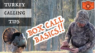 🦃 Turkey Hunting for Beginners: How to Use a Box Call! #turkeyhunting  #turkeycalling