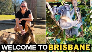 BRISBANE Australia - Koala's Everywhere! Lone Pine Koala Sanctuary