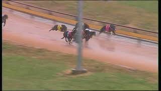 WGL TUE 19 DEC 17 R1