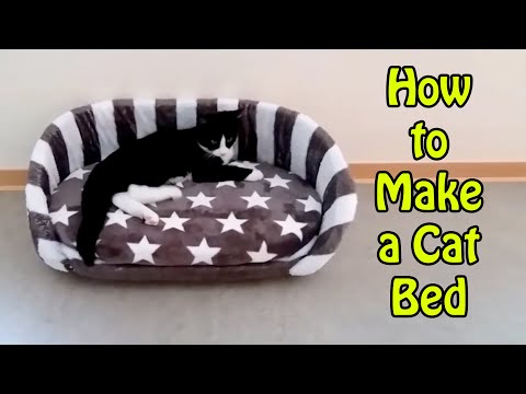 Video: Cách Tự May Giường Cho Mèo