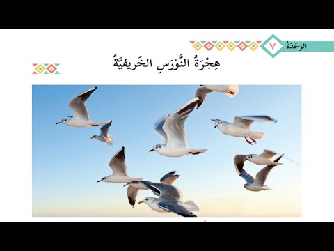 درس هجرة النورس الخريفية حل التدريبات للصف التاسع لغة عربية الوحدة السابعة 