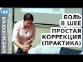 Боль в шее. Простая коррекция. Практика. Прикладная кинезиология Васильева