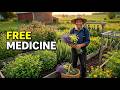 The Amish Secret to Growing Pharmacy-Grade Medicine in Your Backyard