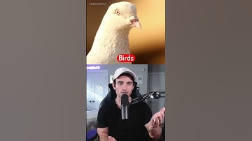 How Animals See the World
