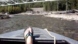 Pine River, Extreme shallow, Firefish, running up and down river