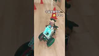 #프로보커넥트 #블록로봇 #로봇과학 #수달 스마트모빌리티몰리랑 내 애착 수달이랑함께 😂