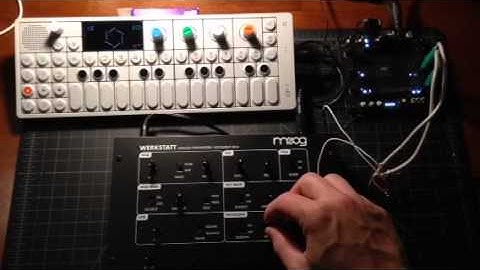 Moog Werkstatt with OP1 via OPLab