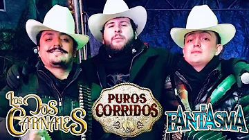 [ PUROS CORRIDOS ] El Fantasma, Los Dos Carnales - Puros Corridos 2024