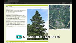 How To Use the Plant Database