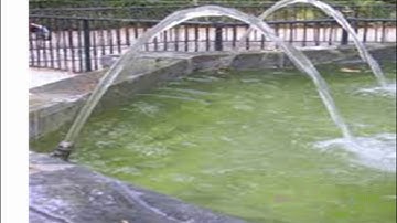 Ch 9.1 Conic Intro & Parabolas